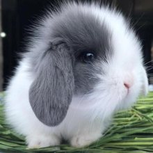 ������С�͌������ӻ��������ú��m���w؈؈��٪���Ã�ͯ���B����