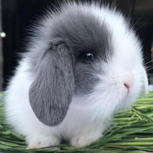 ������С�͌������ӻ��������ú��m���w؈؈��٪���Ã�ͯ���B����