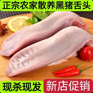 ����i���^���r�i�ڗl���i�ڗl���l����i���^�oë���l