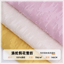涤纶剪花面料 春夏雪纺音符提花上衣连衣裙布料 梭织化纤面料现货