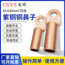 国标DT铜鼻子 铜接线端子DT10-DT500平方铜鼻子堵油铜接头线鼻子