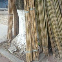 ���^��β������l���۷������������S�Gɫ��U����U����������