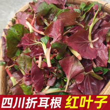 Ұ���������r�~�Ȳ��~��Ұ�����i�ǿ����~�����~�ǲ��Ĵ��خa