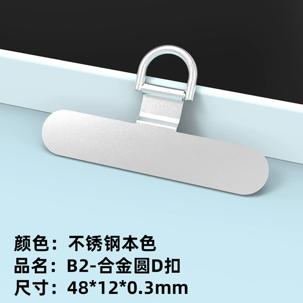 B2-Alloy round D buckle-stainless steel color