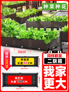 ���⻨���X�Ͻ��P��FˇͥԺ�����߲˷Nֲ���̨���ϻ����L����