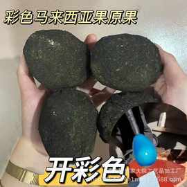 佛心菩提佛心果彩色原籽带壳马来西亚彩果现场开果红黄绿蓝紫