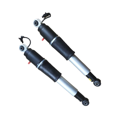 Assembly, Rear Unit 84176675, damping system