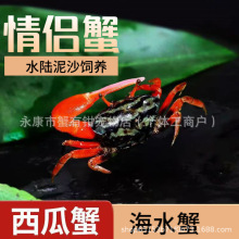 ���l����з���Aɳз�г�з��ˮз���������Ȍ����B�ͻ�