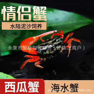 ���l����з���Aɳз�г�з��ˮз���������Ȍ����B�ͻ�