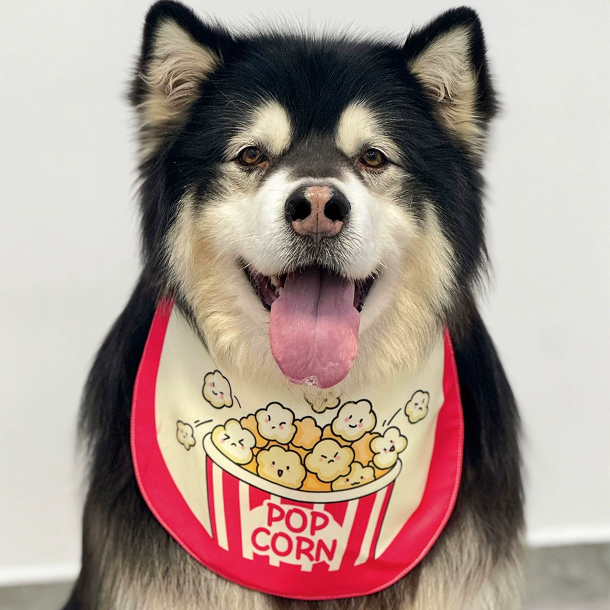 Оригинальная иллюстрация попкорна для собак, рот, полотенце для домашних животных, маленькие и большие собаки, кошка, кошка, нагрудник, золотые волосы