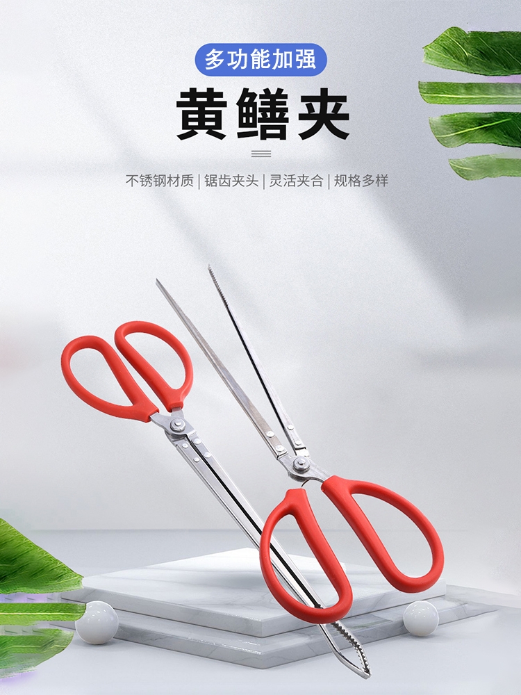 黄鳝夹子鳝鱼夹火钳垃圾夹泥鳅螃蟹钳子赶海工具取物加长野外专业