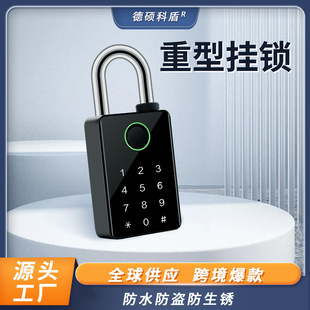 Factory wholesale smart padlock graffiti fingerprint lock password lock home door lock IP65 outdoor waterproof with key