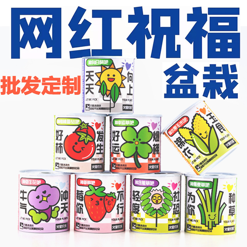 Children's Inspirational Planting Kit: Easy-To-Grow Canned Plant Blind Box, Desktop Potted Mint Flowers, Indoor Green Plants That Are Easy to Maintain