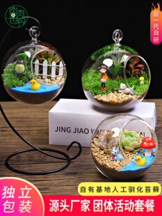 ������̦�\����΢���^���Bƿ �քӃ�ͯ�������ԾGֲ����DIY���ϰ�