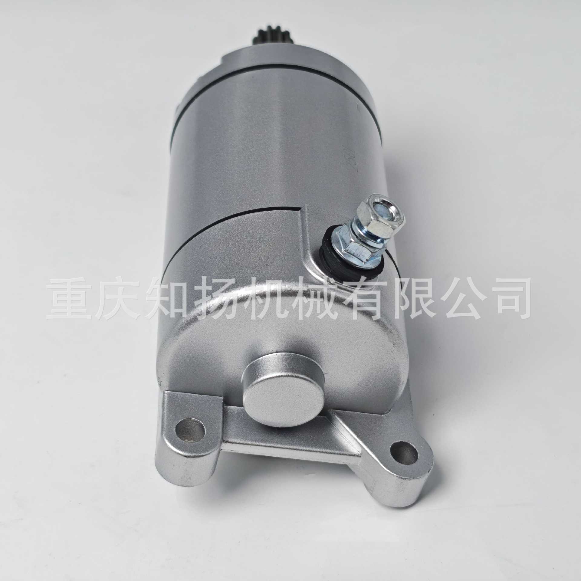 165/166Fmm Zongshen Off-Road Motorcycle Motor 172Fmm170Mm174Mn11 Starter Engine