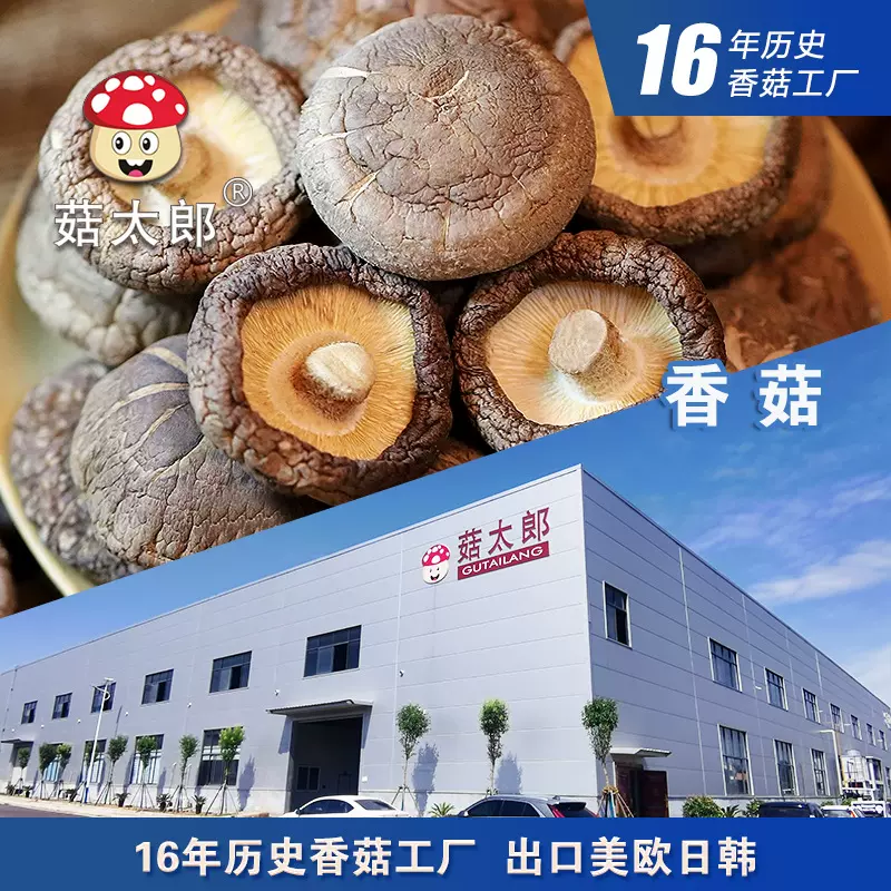 干香菇干货剪根蘑菇冬菇香菇干货市场山珍商用家用出口基地备案