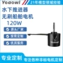 清洁水下大功率定制电机