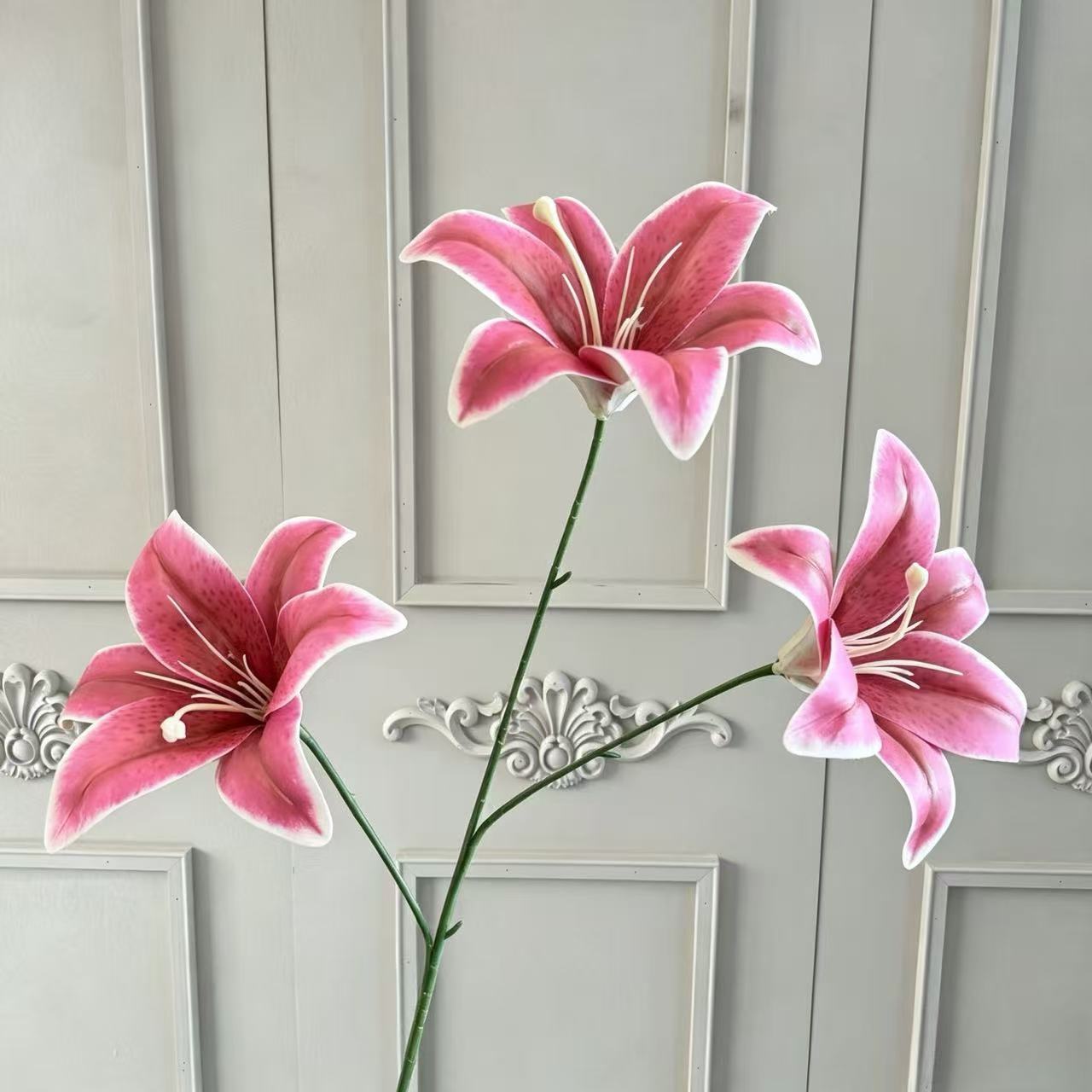 자홍색
