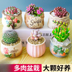 ֲM҃С¶ҵϘGֲ׃@ƶY