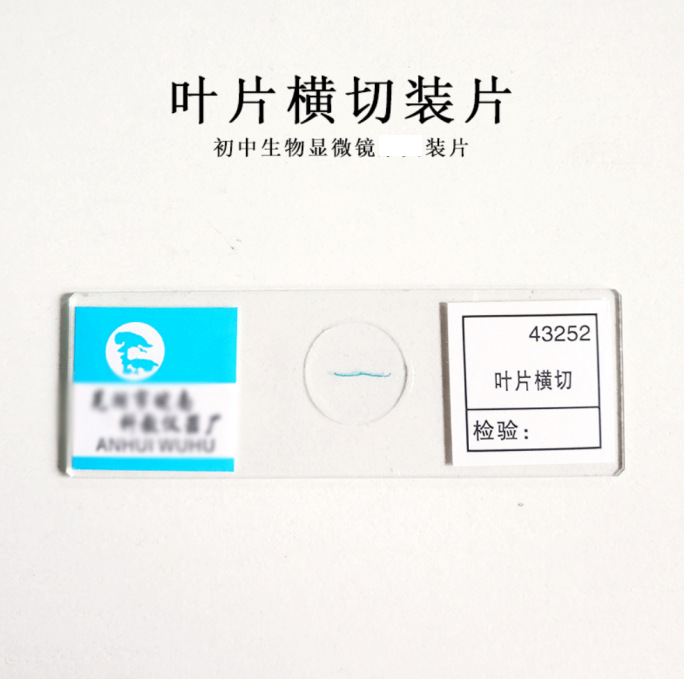 Lưỡi cắt ngang