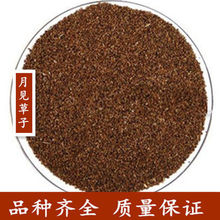 ��Ҋ�ݷN�� ��Ҋ�ݲ� ��Ҋ���� ��Ҋ����