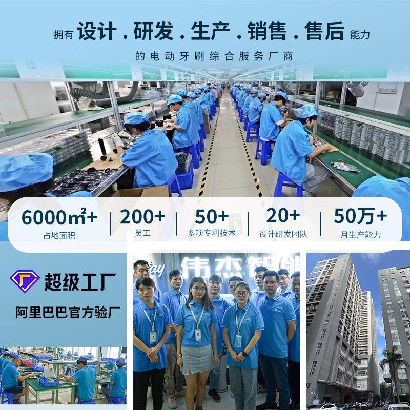 公司介绍
