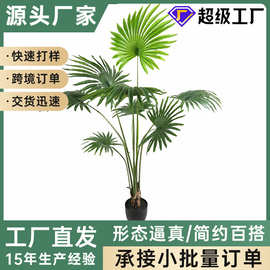 新款仿真棕葵树室内装饰绿植盆栽人造仿真扇葵塑料杆假棕葵树批发