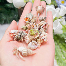 ����ɐ��Ȍ����涹�����ּľ�з��B�����b��B��ͯ�ײ͟��u