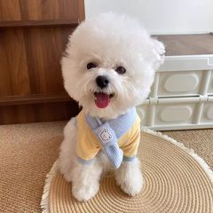 狗狗猫猫泰迪衣服贵宾秋款比熊宠物小猫猫咪小型幼犬秋冬天送围巾