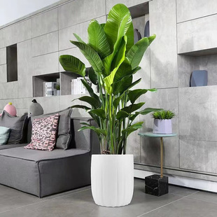 �W�t�����B�����҃ȴ���ֲ���Q���m�͏d�k���Ҵ����ԾGֲ�����B��