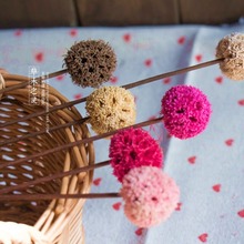 ֧·ͨ Ȼɻ ñӎU յ  ZAKKA