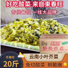 潮汕澄海酸菜猪脚饭专用隆江酸菜鱼酸菜开胃可口东春旺免切酸菜