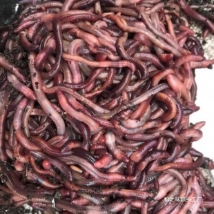 ���������l�r����w�a���~�D�D��ɢ�bҰ�ⴹ��~�D�B