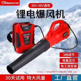 Rechargeable Hair Dryer 48V High-Power Electric Leaf-Blowing Dust Blower Wireless Lithium Electric Snow Blower
