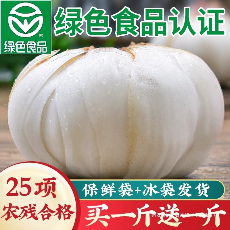 甘肃兰州百合新挖新鲜百合500g新鲜食用生甜白合非干货产级包邮