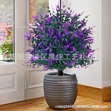 F؛羳ܷ޹²ݘɲжb҃ٻֲ