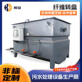 全浸没半浸没纤维转盘过滤器 竖片式滤布滤池 污水处理转盘过滤器