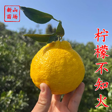 ʲ֪硿ʲ֪˹ֳٽƷN̽Ә