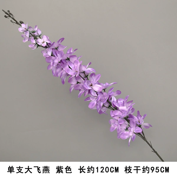 Single Da Feiyan Purple
