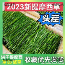 һlĦݰlֱӸɲݱZiĦֱ