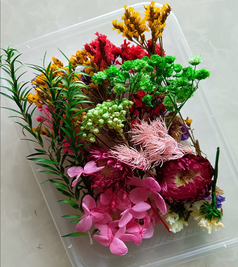 微信图片_20231127083938