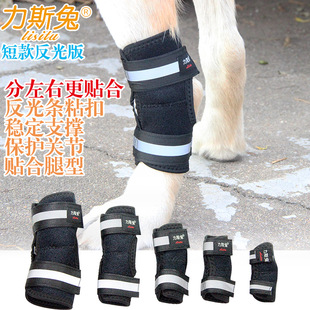 Pet dog hind leg auxiliary belt fixed leg weakness joint injury protection sleeve sprain support short leg knee protector leg protector