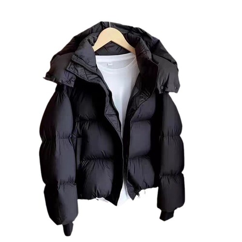 Women's Winter Short Padded Jacket - 2025 Fashion, Thick and Stylish, Han Style, Loose Design Padded Coat with Down