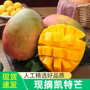 ��τP��â10�������ش�â�����rˮ����������â��������@ֱ�l