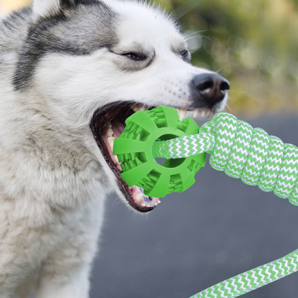 Durable Dog Rope Toy For Interactive Chewing And Teeth Cleaning_voghion.com