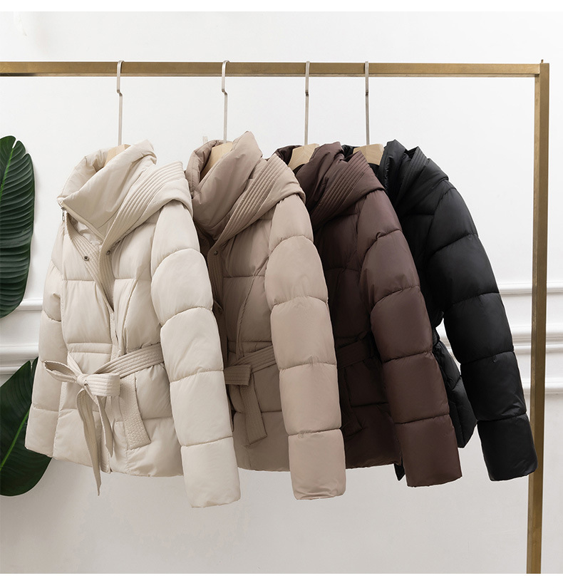 Slim Fit Type Solid Color Pattern Winter, Autumn Season Women's Gender Pocket Design Women's Simple Style Solid Color Pocket Zipper Coat Cotton Clothes
