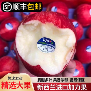 �����m�����O��ˮ�����r �����M�ڼt�O��gala�����O����S���]