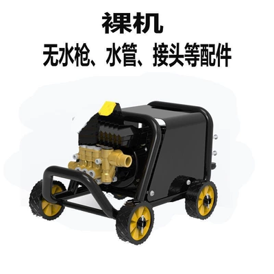Gun for Home Use, Portable car washer - shenlong-1500w-bare-metal-without-any-accessories
