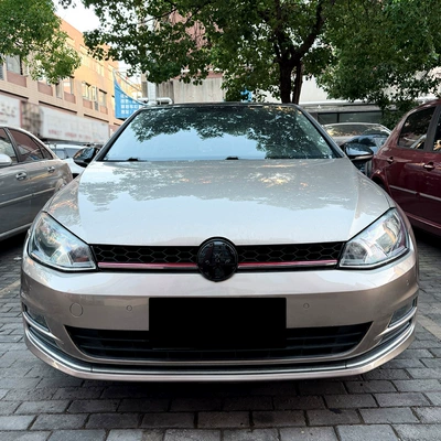 model honeycomb center grille – Zhongwang