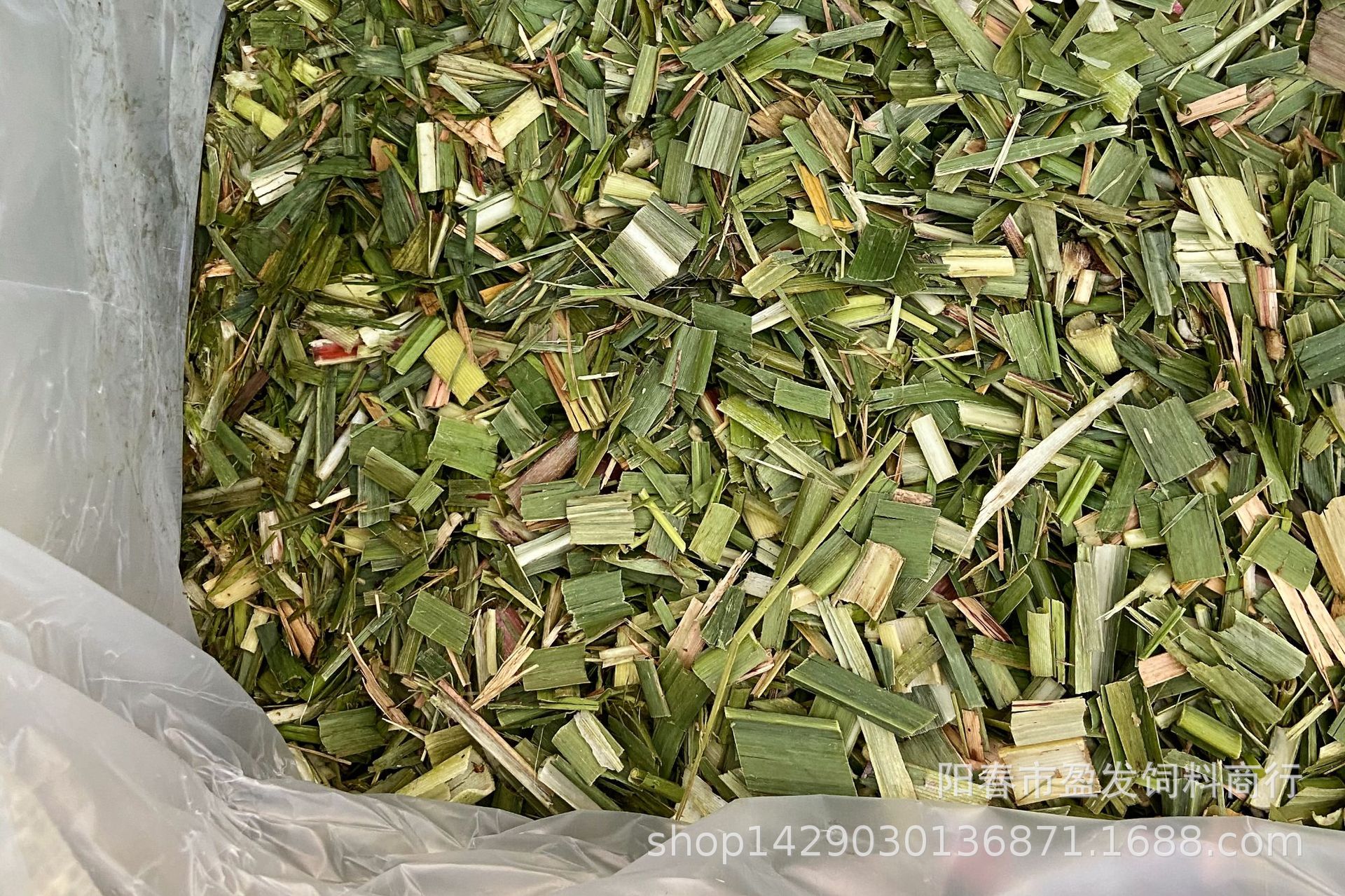 mmexport1637849374030_mh163788